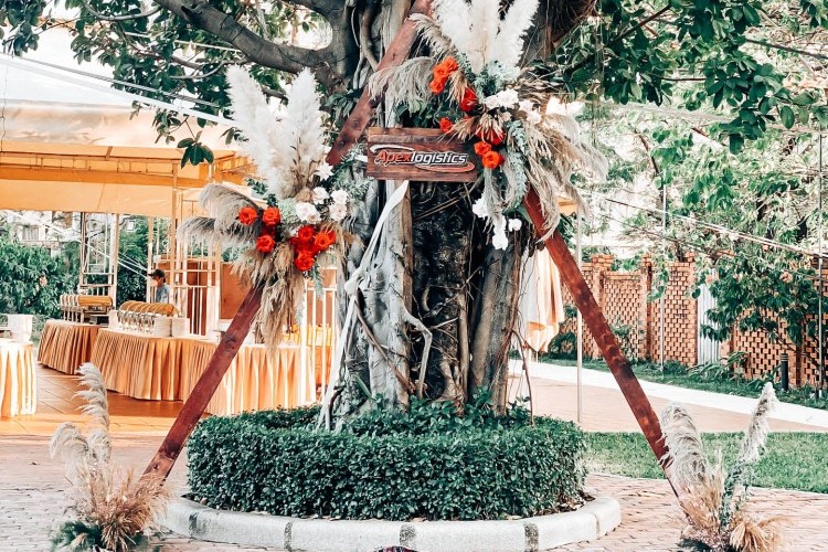 backdrop chụp hình