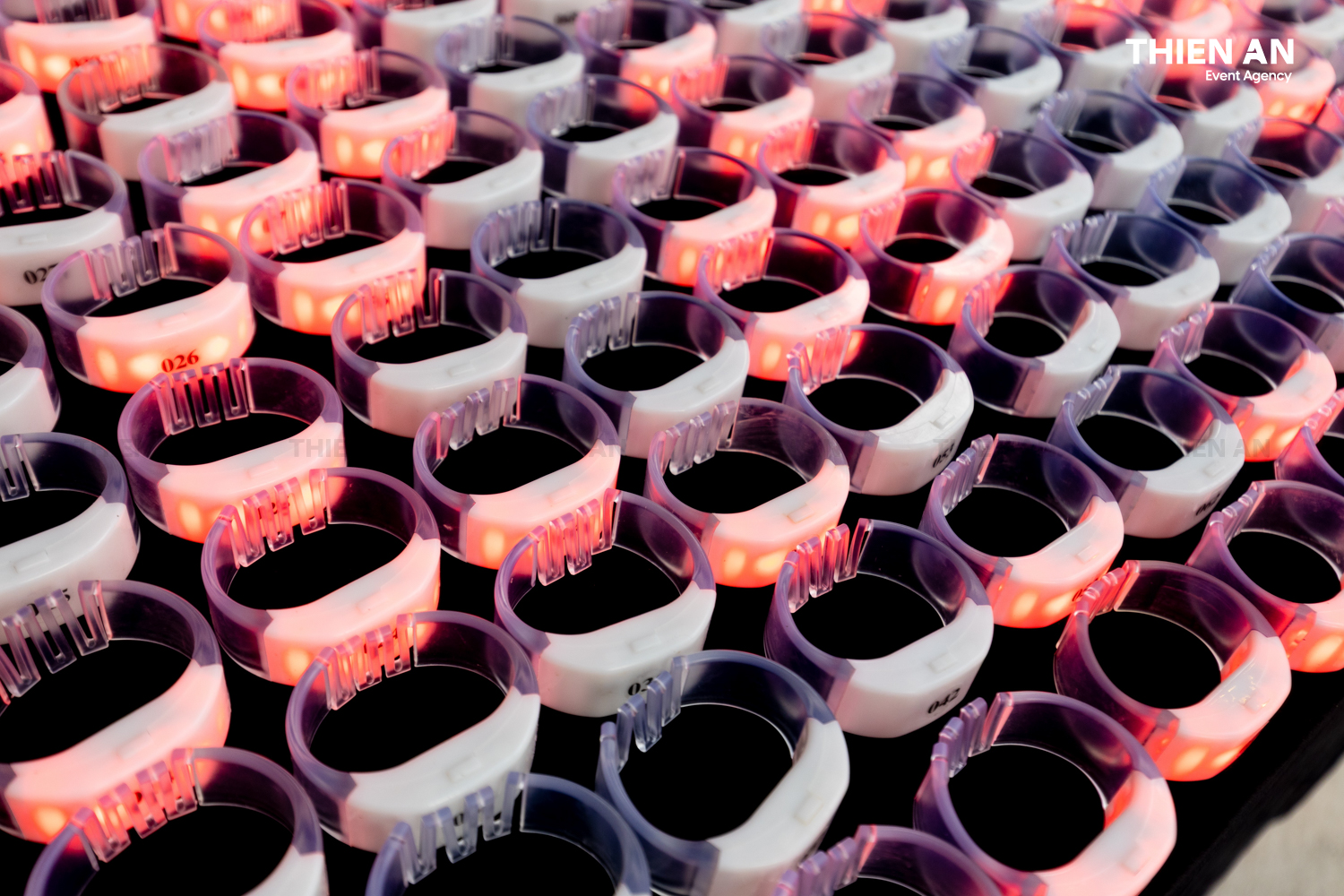 Frasers Property Việt Nam YEP2025 HCM