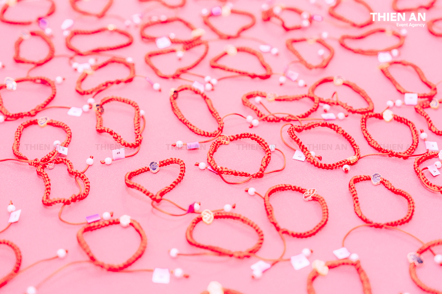 Titan DMS YEP2025 - Tet Slay