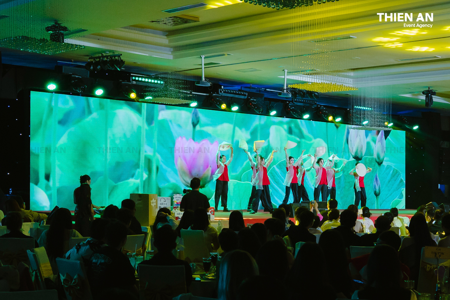 TRANSCOSMOS VIET NAM | YEP2025 - TET-STIVAL